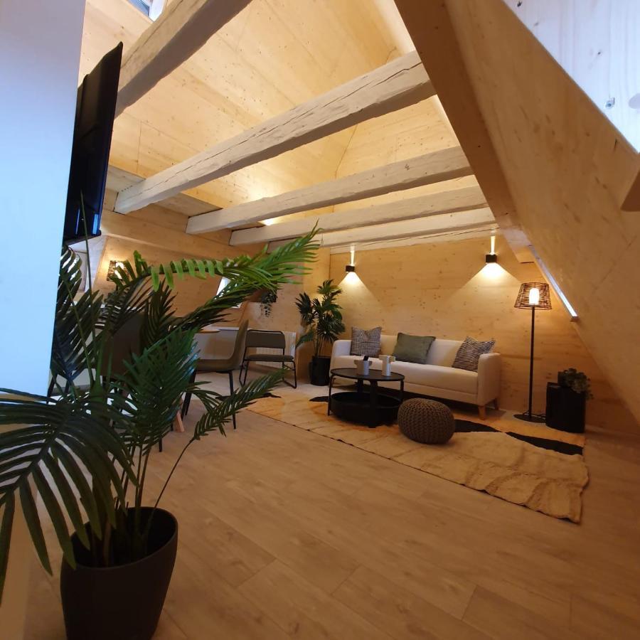 Les Appartements Hyper Centre Straßburg Exterior foto
