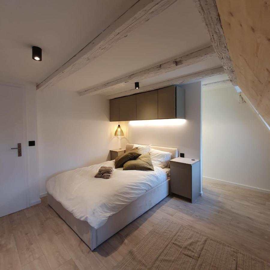 Les Appartements Hyper Centre Straßburg Exterior foto